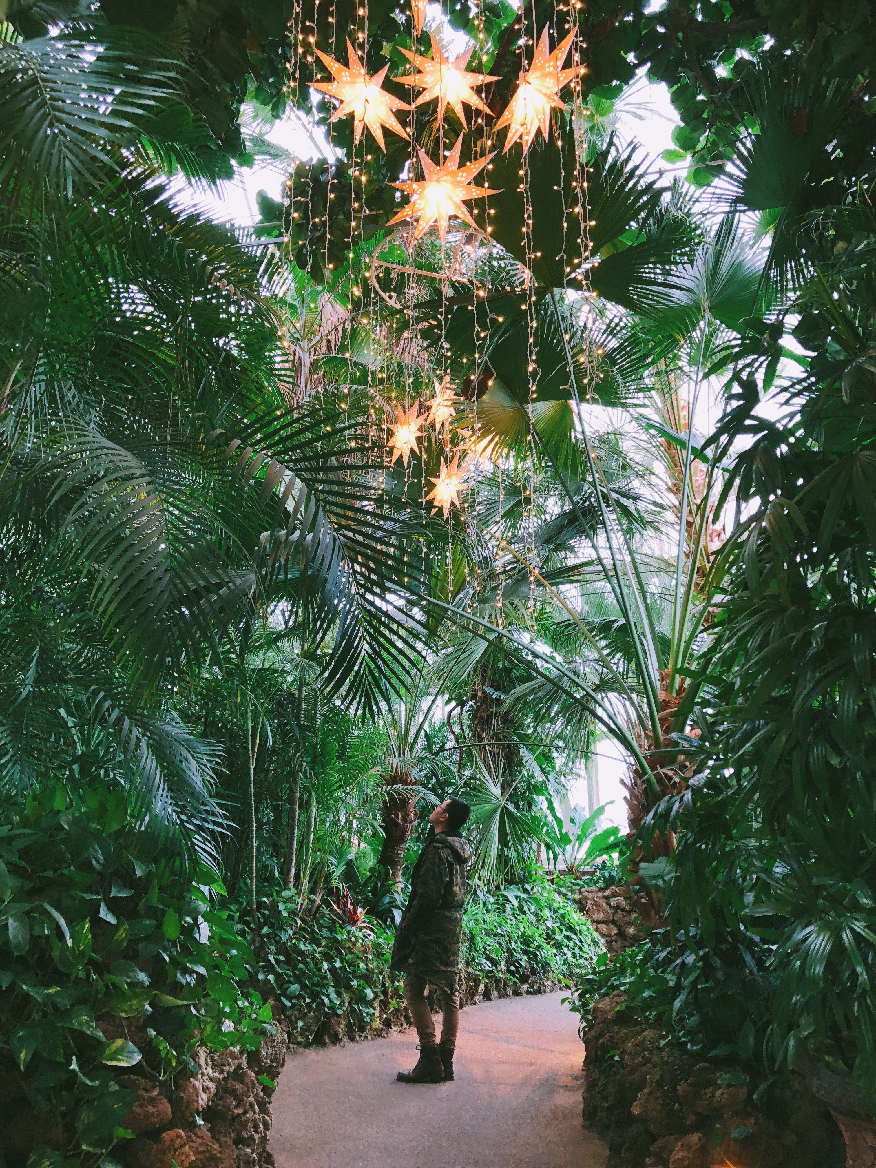 Located in Oakland in Pittsburgh, PA, the Phipps Conservatory and Botanical Gardens is one of the most stunning places to visit in Pittsburgh.