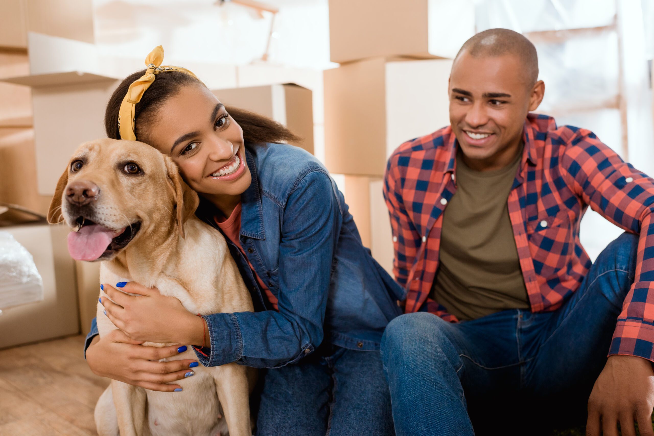 Pet-Friendly Apartments- Creating Space for Furry Friends in Small Homes