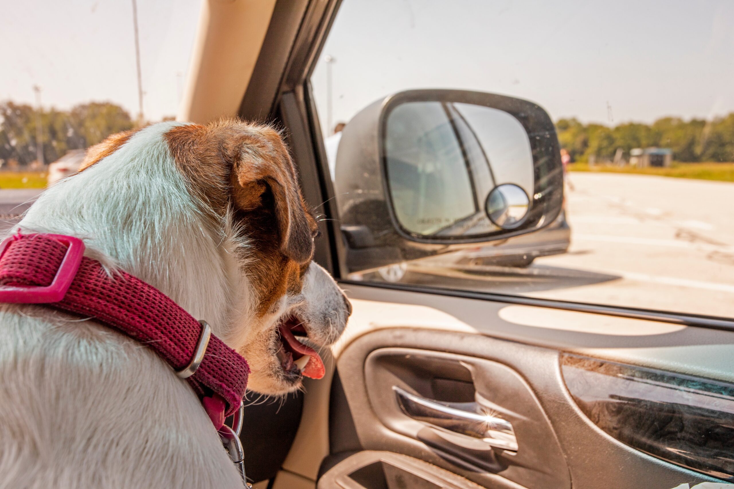 Road Trip Essentials: Packing and Storing for Summer Adventures