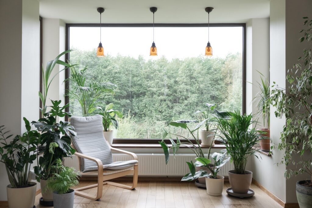 Eco-Friendly Home Decor: Green Living with Storage Solutions: Why Eco-Friendly Home Decor Matters