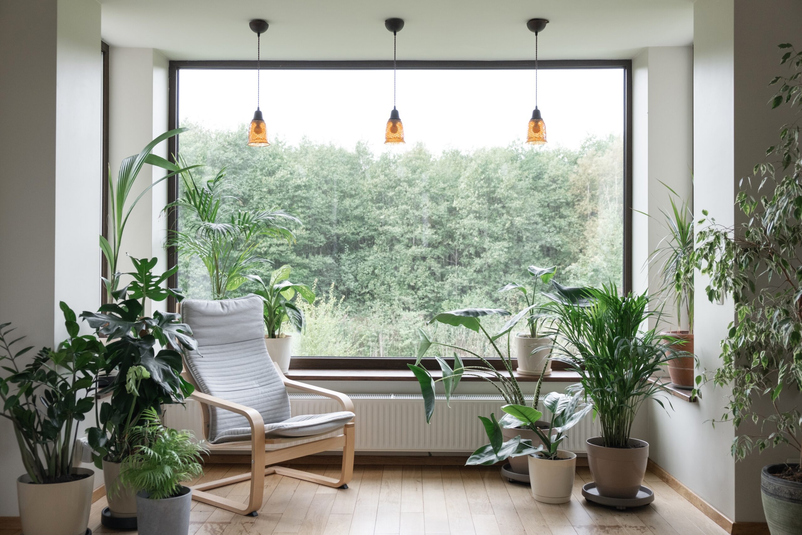 Eco-Friendly Home Decor: Green Living with Storage Solutions: Why Eco-Friendly Home Decor Matters