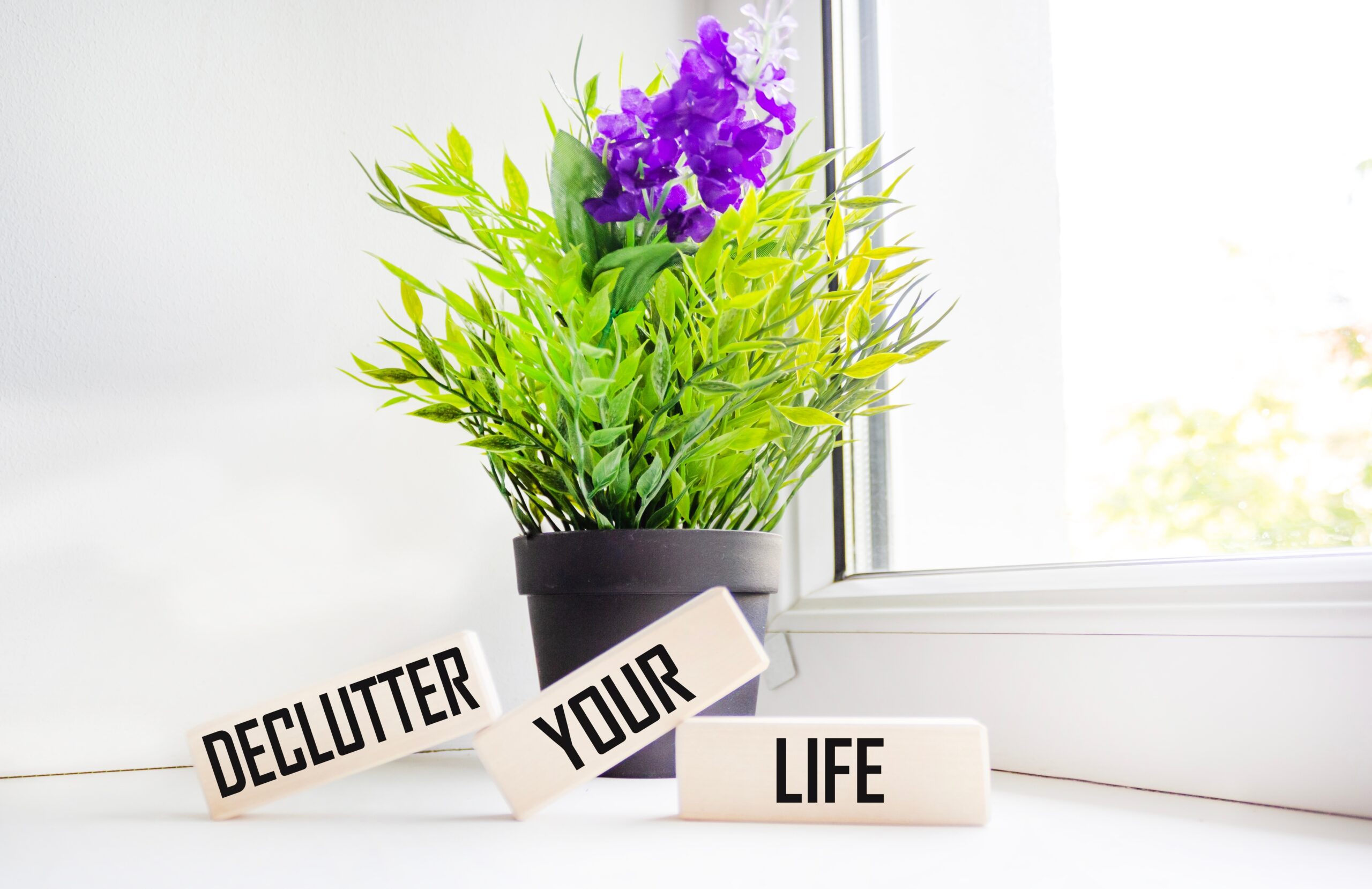 guardian-storage-steps-to-successfully-declutter-your-home