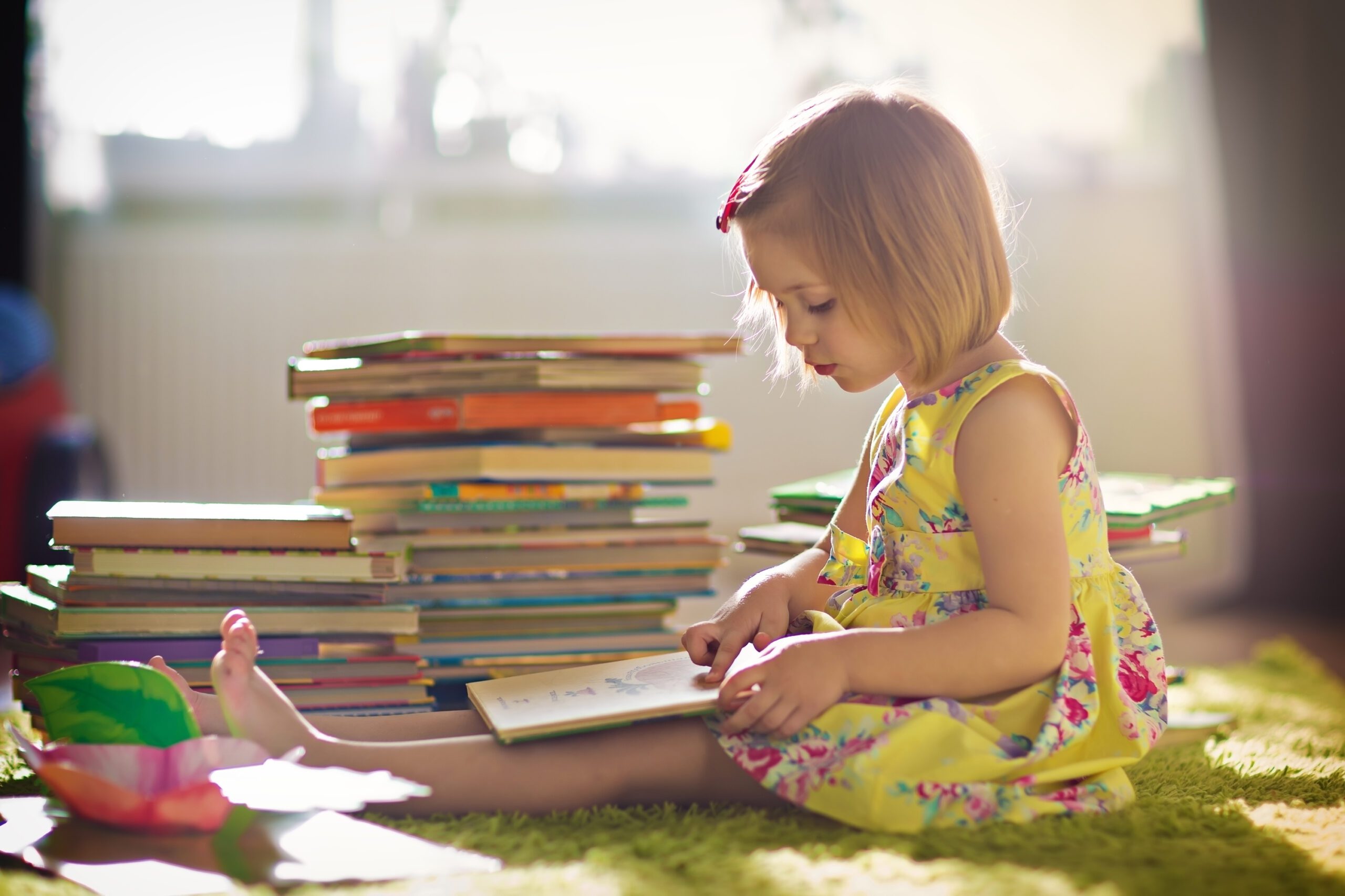 Bookshelf Wealth Aesthetic: Home Design Ideas for Summer Readers