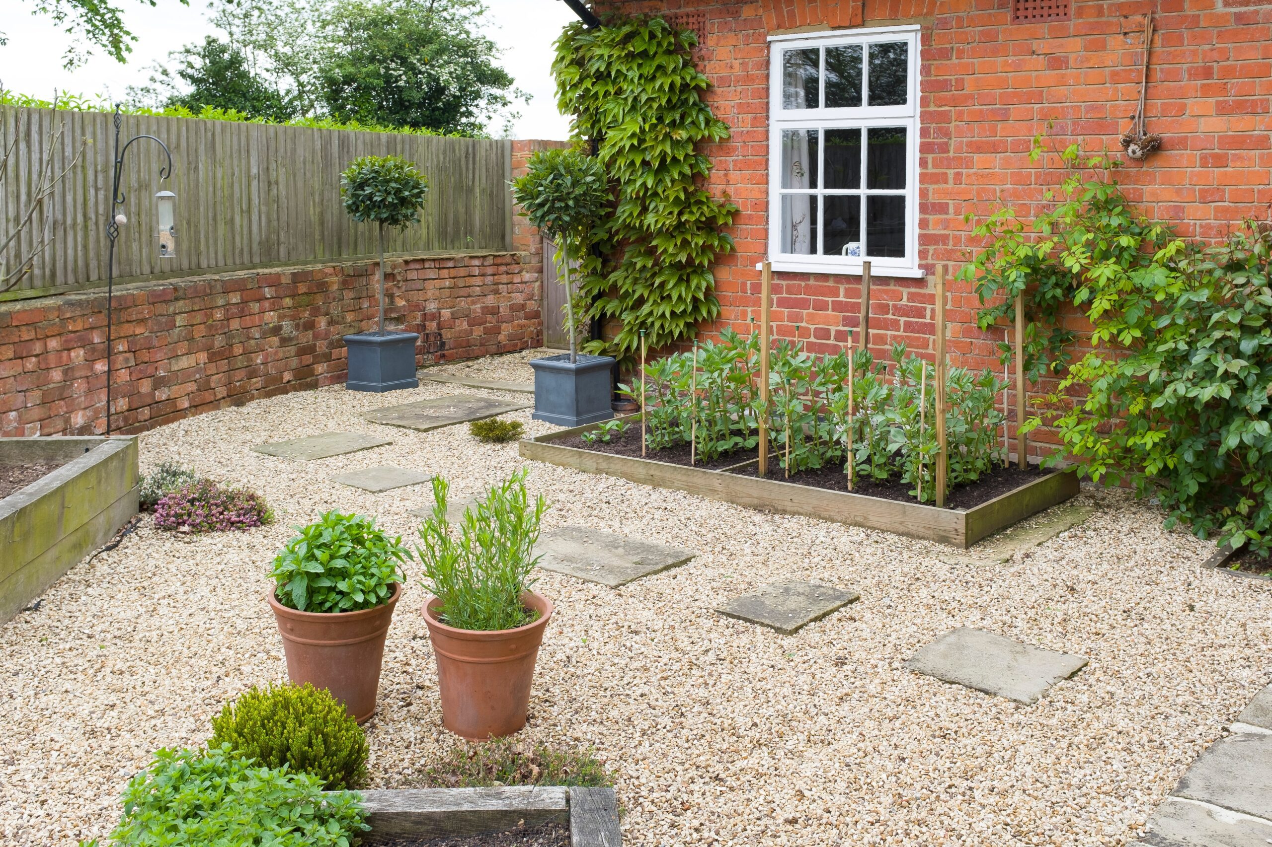 No-Grass Yard Ideas: Creative Alternatives for a Stunning Landscape